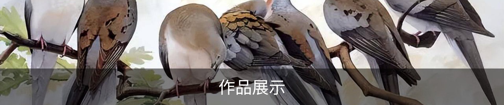 作品展示